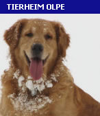 Tierheim Olpe